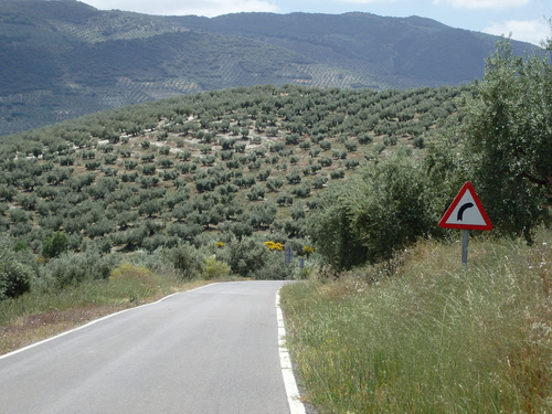 The road to Almedinilla.